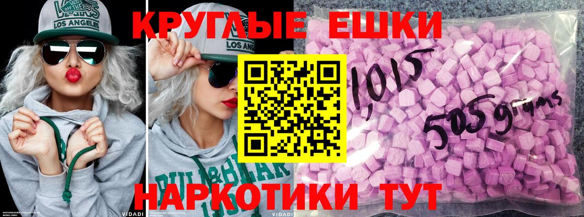 ЭКСТАЗИ бентли Гай