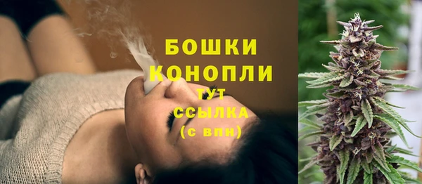 гашик Богородицк