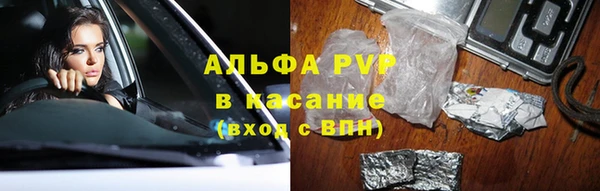 стафф Бронницы