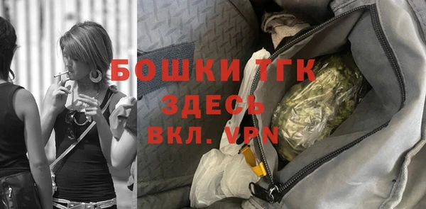 гашик Богородицк