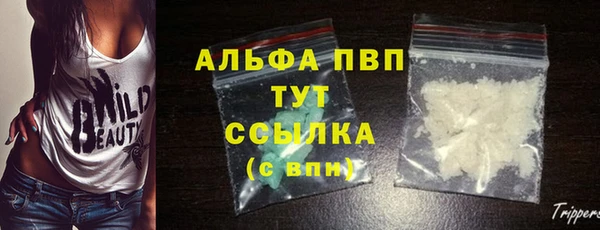 стафф Бронницы