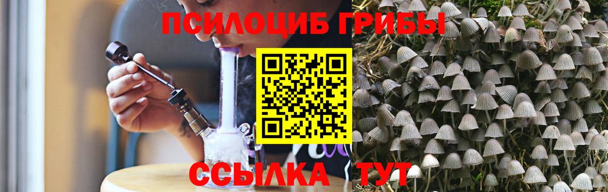 Псилоцибиновые грибы Psilocybine cubensis Гай